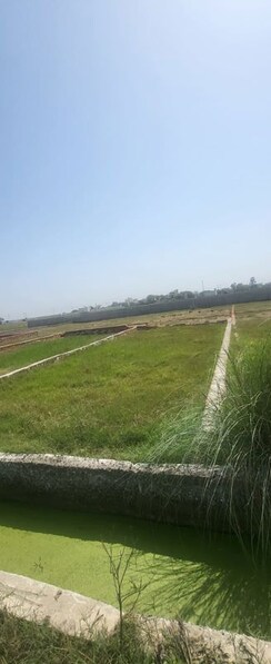 Plot For Sale in Sector 61