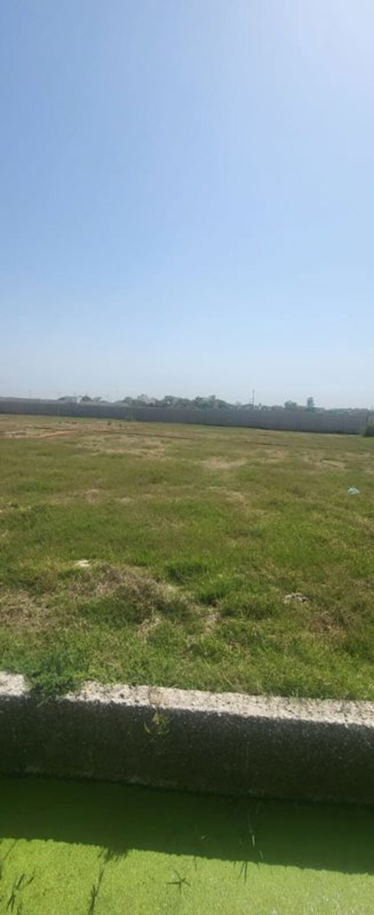 undefined, sector 61  250 Sq.Yd. Plot In Sector 61 Noida 10433711