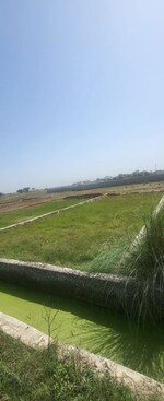 1001 Sq.Mt. Plot in Sector 62