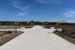 Plot Area in  Plot at Bangarapet – for Sale