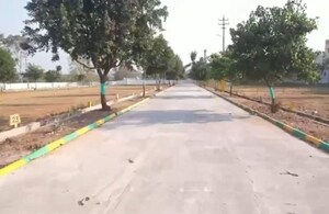 Plot Area in  Plot at Robertson Pet – for Sale