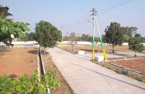 Plot Area in  Plot at Robertson Pet – for Sale