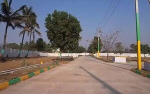 Plot Area in  Plot at Robertson Pet – for Sale