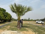 1000 Sq.Ft. Plot in Kanpur Road