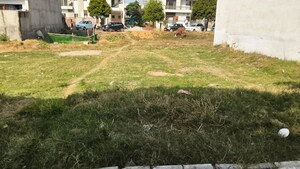  Plot For Sale in DLF Hyde Park, South Mullanpur