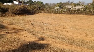 Plot Area in  Plot at Namkum – for Sale