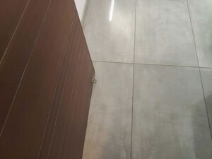 Balcony in 2 BHK Apartment at ACE Parkway, Sector 150 – for Sale
