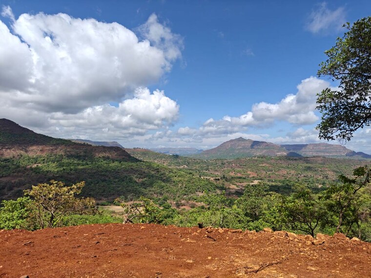 undefined, mulshi  24000 Sq.Ft. Plot In Mulshi Pune 10434037