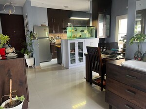 Team Area in 3 BHK Apartment at Dhakoli – for Sale