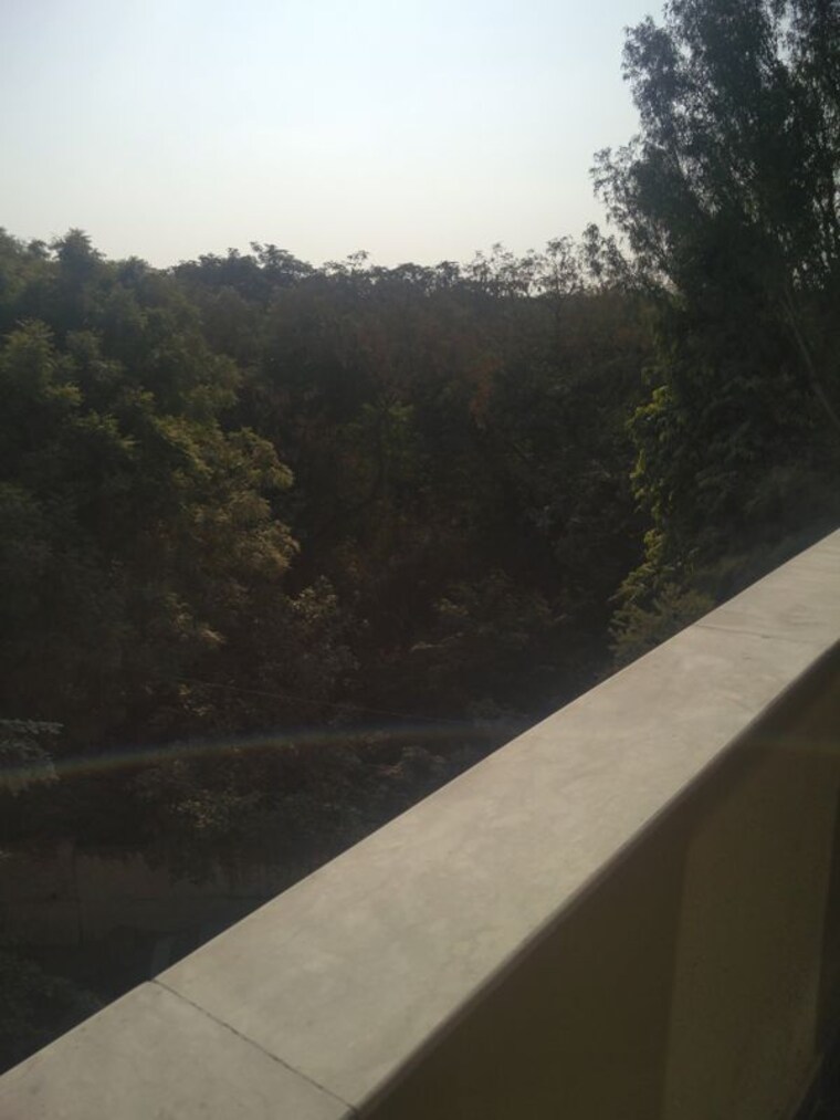 Swimming Pool, m3m-woodshire 2 Bedroom 1534 Sq.Ft. Builder Floor In Sector 107 Gurgaon 10434401