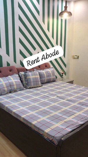 2 BHK Builder Floor For Rent in Lajpat Nagar ii