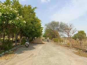   Plot at Ringnodiya – for Sale