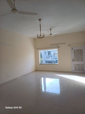 Room in 3 BHK Builder Floor at Sector 36 – for Rent