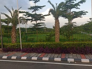  Plot – Exterior View View at Majra - for Sale