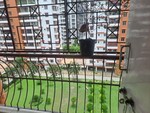 3 BHK 1460 Sq.Ft. Apartment in Rekjuani