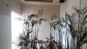 Furnished Amenities in 3.5 BHK Apartment at ACE Parkway, Sector 150 – for Sale