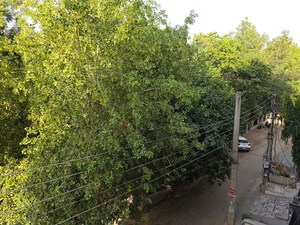 1 BHK Apartment For Rent in Sector 42