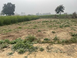Plot Area in  Plot at Shah Daudpur Urf Kakor ga – for Sale