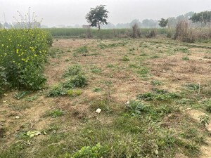 Plot Area in  Plot at Shah Daudpur Urf Kakor ga – for Sale