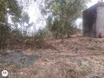 60000 Sq.Ft. Plot in Oyster Green Mount City