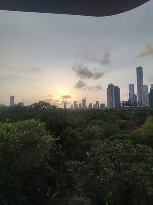 Plot Area in 2 BHK Apartment at Alamdar The Auro, Lower Parel – for Rent