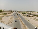 1000 Sq.Ft. Plot in Rohta