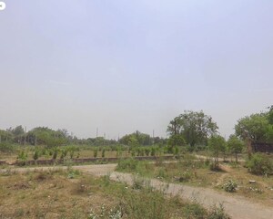 Plot Area in  Plot at Rohini Sector 36 – for Sale