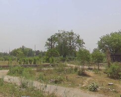 Plot For Sale in Rohini Sector 36