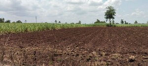 Plot Area in  Plot at Mangaon – for Sale