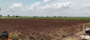 Plot For Sale in Mangaon