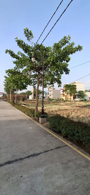  Plot – Garden View at Jattari - for Sale