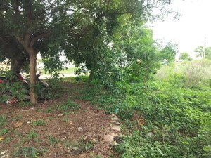 Plot Area in  Plot at Somanatha Nagar – for Sale