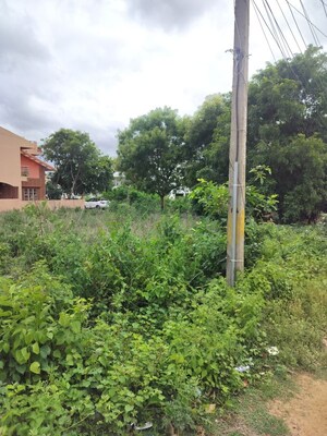  Plot – Garden View at Somanatha Nagar - for Sale