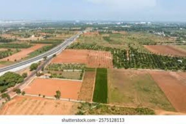 undefined, dholera  150 Sq.Yd. Plot In Dholera Ahmedabad 10436280