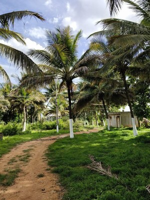  Plot For Sale in Ivory at Brigade Orchards, Devanahalli