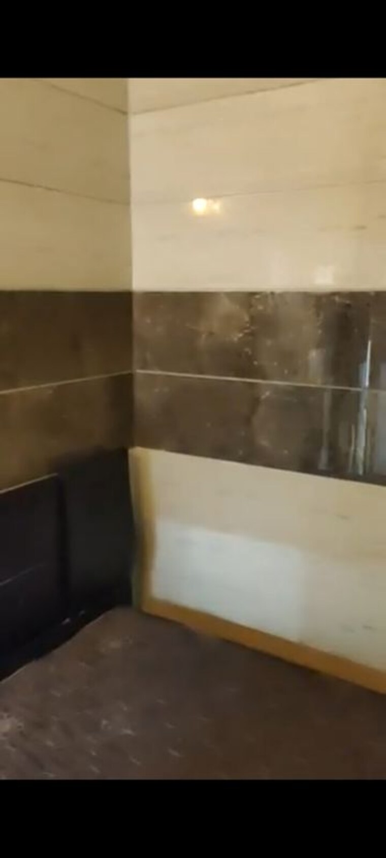 undefined, pitampura 2 Bedroom 900 Sq.Ft. Builder Floor In Pitampura Delhi 10436431