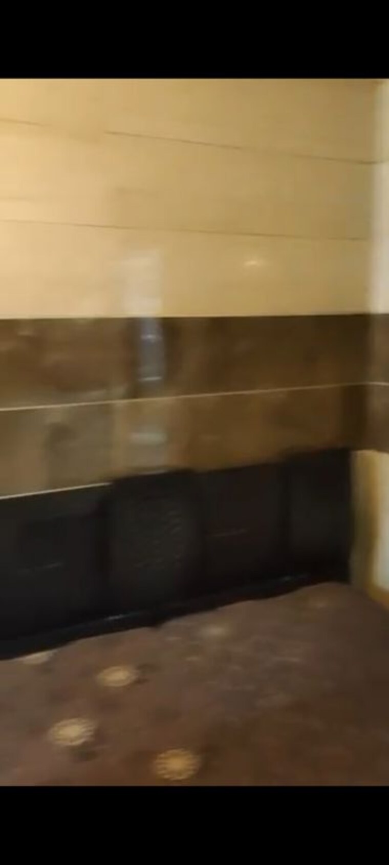 undefined, pitampura 2 Bedroom 900 Sq.Ft. Builder Floor In Pitampura Delhi 10436431