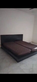 2 BHK 1500 Sq.Ft. Builder Floor in Pitampura