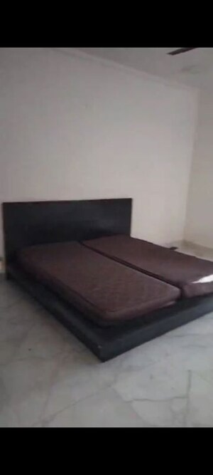 2 BHK Builder Floor For Rent in Pitampura