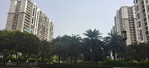 3 BHK Apartment – Exterior View View at DLF New Town Heights I, Sector 90 - for Sale