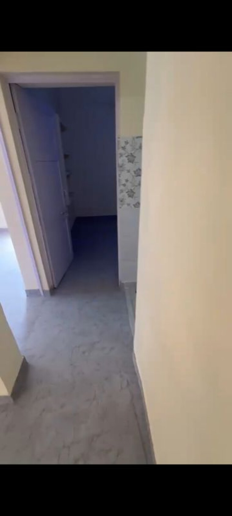undefined, pitampura 2 Bedroom 900 Sq.Ft. Builder Floor In Pitampura Delhi 10436889