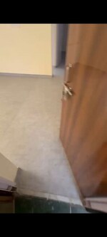 2 BHK 900 Sq.Ft. Builder Floor in Pitampura