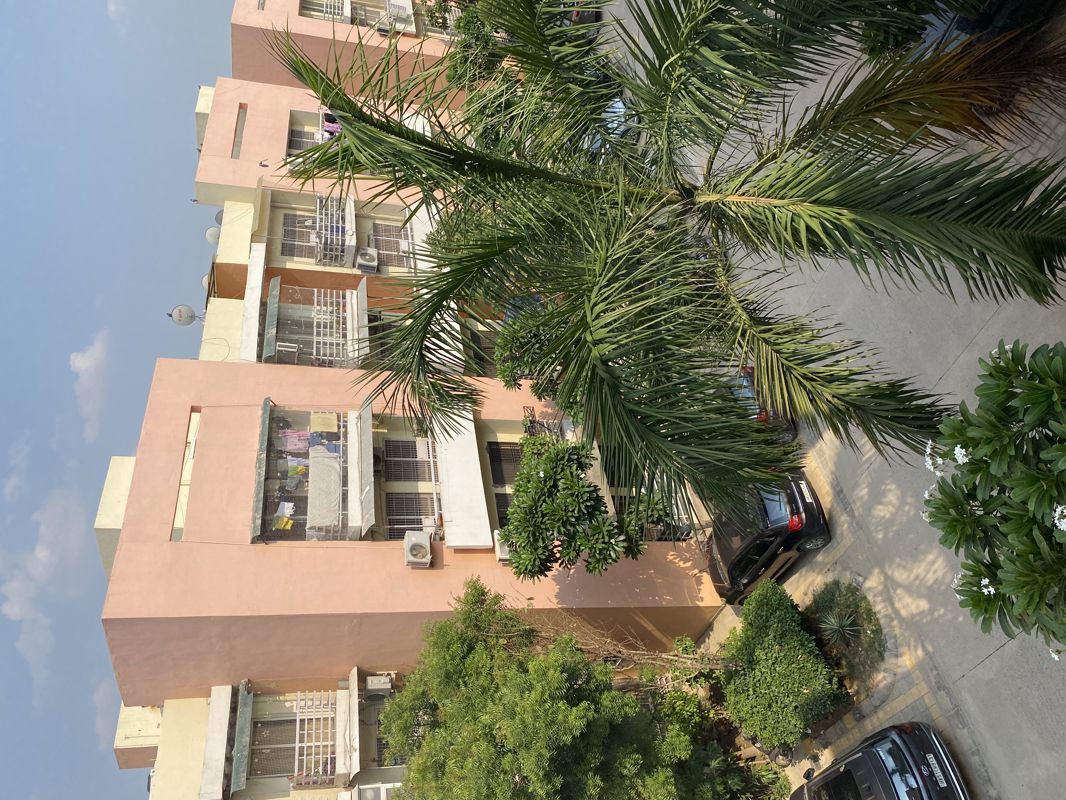 3 BHK 1484 Sq.Ft. Apartment in Bptp Park Floors ii