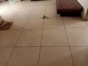 Bathroom in 2 BHK Apartment at Jivraj Park – for Rent