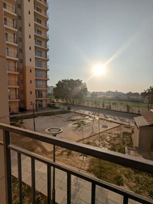 1 BHK Apartment For Rent in ROF Amaltas, Sector 92