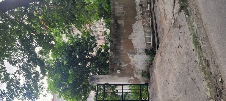 undefined, sector 30  300 Sq.Mt. Plot In Sector 30 Noida 10437100