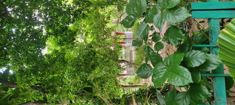 Garden, sector 30  300 Sq.Mt. Plot In Sector 30 Noida 10437100