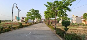  Plot – Garden View at Jattari - for Sale