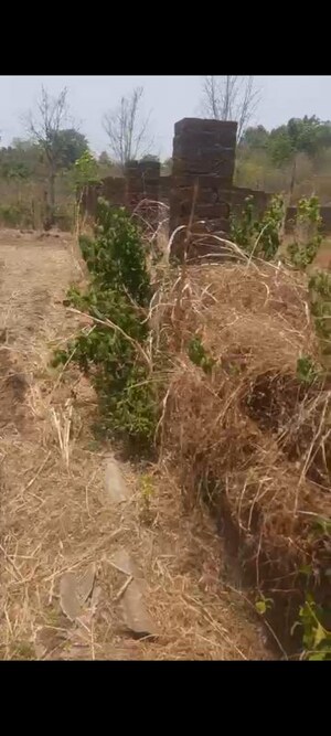 Plot Area in  Land at A D Sivana, Murbad – for Sale