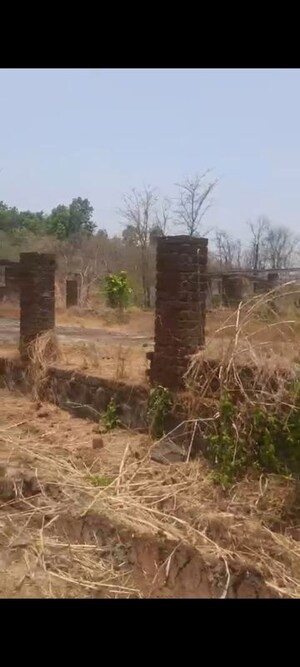  Land For Sale in A D Sivana, Murbad